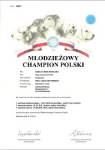 GERD dyplom Championa Juniorów