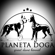 Logo PlanetA Doga
